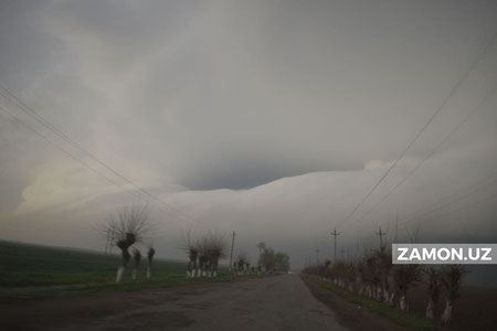 Qashqadaryodagilarni yashin urdi: qurbonlar bor