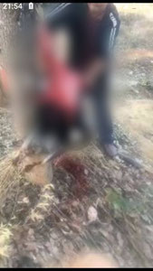 O‘zbekistonda hayvonlarga nisbatan yana bir shafqatsizlik aniqlandi