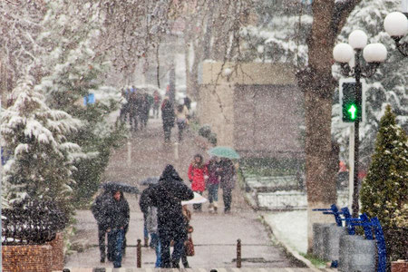 Toshkent viloyatida nam qorli havo massasi faol