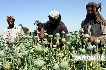 "Толибон" Россияни муҳим соҳада ҳамкорликка чақирди