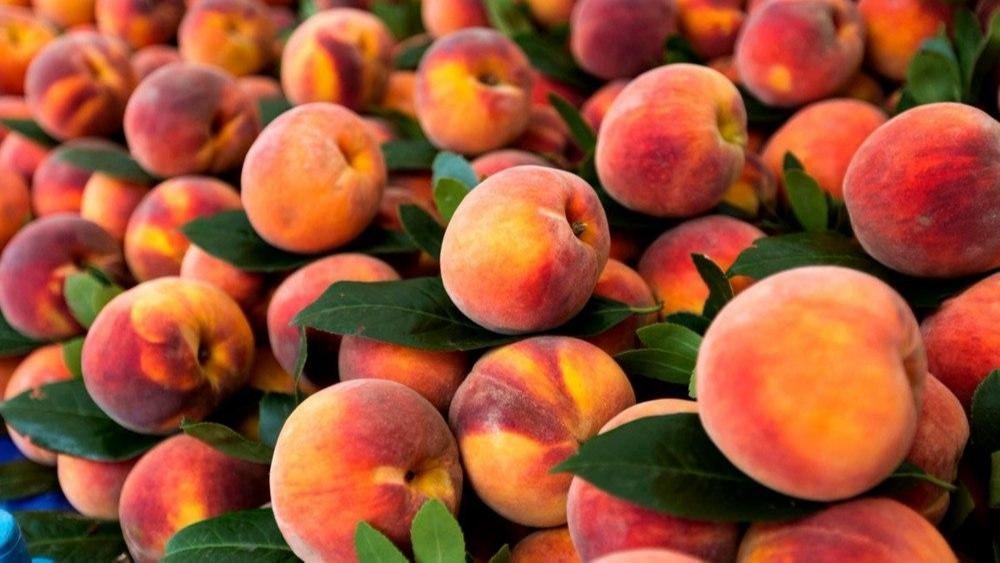 Peach Pics