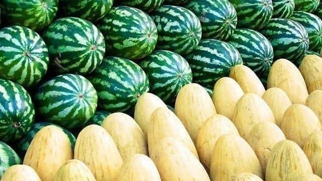Ўзбекистон қовун ва тарвуз экспортидан қанча даромад қилгани очиқланди