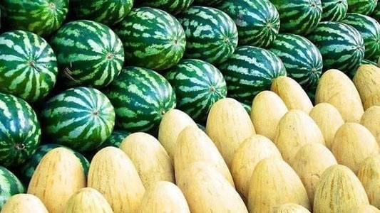 Ўзбекистон қовун ва тарвуз экспортидан қанча даромад қилгани очиқланди