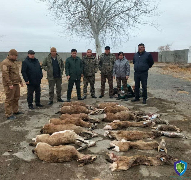 "Qizil kitob"ga kiritilgan jayron va quyonlarni ovlagan brokanerlar  qochib ketdi- Endi “o‘ljalar” kimga qoladi?