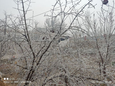 Водийнинг айрим ҳудудларида кучли булдуруқ ҳодисаси кузатилмоқда