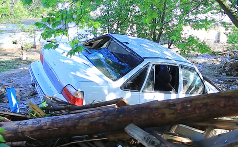 Sel oqibatida vayron bo’lgan uylar, daraxt ostida qolgan mashinalar va halok bo’lgan chorva mollari — fotoreportaj