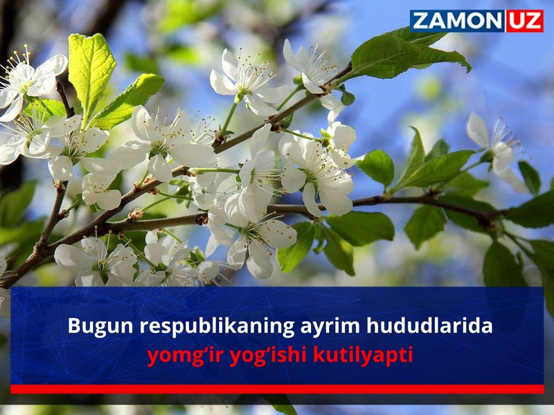 Bugun respublikaning ayrim hududlarida yomg‘ir yog‘ishi kutilyapti