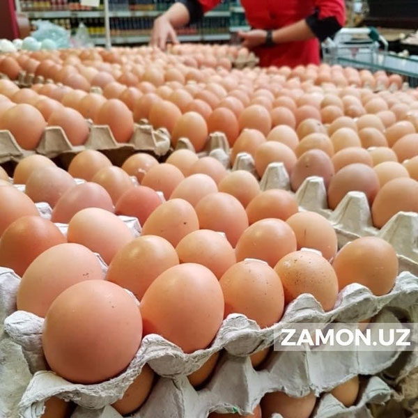 Tuxum narxi yil boshidan buyon necha foizga arzonlashgani maʼlum bo‘ldi