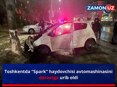 Toshkentda “Spark” haydovchisi avtomashinasini daraxtga urib oldi