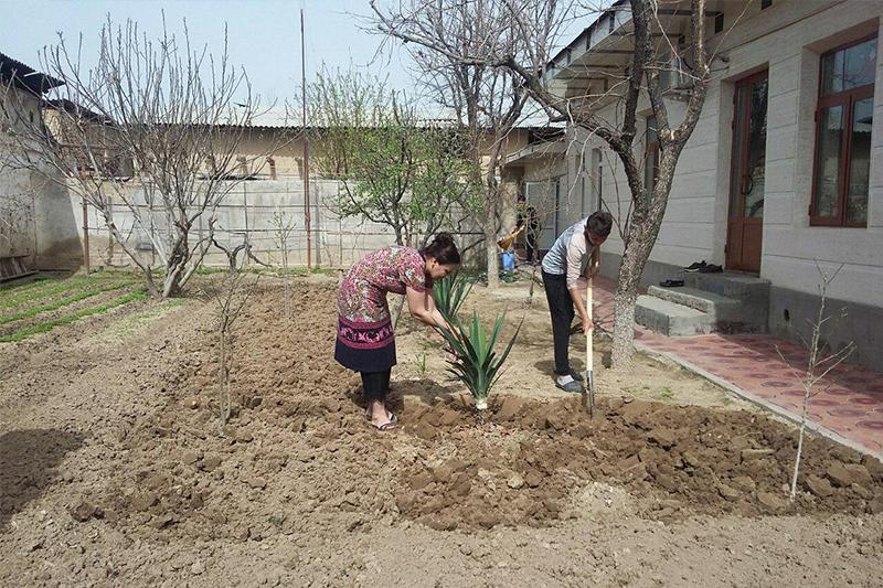 Shaxsiy tomorqa egalari soliq to‘lab, ish stajiga ega bo‘lishi mumkin