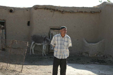 Qashqadaryoda xonadonida eshak so‘ygan er-xotin jazoga tortildi