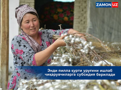 Endi pilla qurti urug‘ini ishlab chiqaruvchilarga subsidiya beriladi