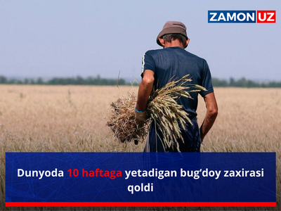 Дунёда 10 ҳафтага етадиган буғдой захираси қолди