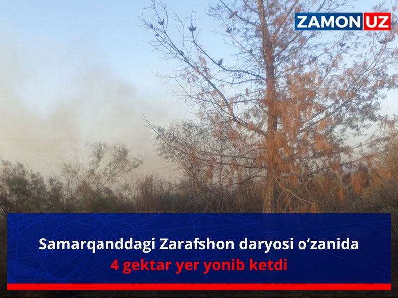 Samarqanddagi Zarafshon daryosi o‘zanida 4 gektar yer yonib ketdi