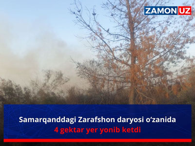 Samarqanddagi Zarafshon daryosi o‘zanida 4 gektar yer yonib ketdi