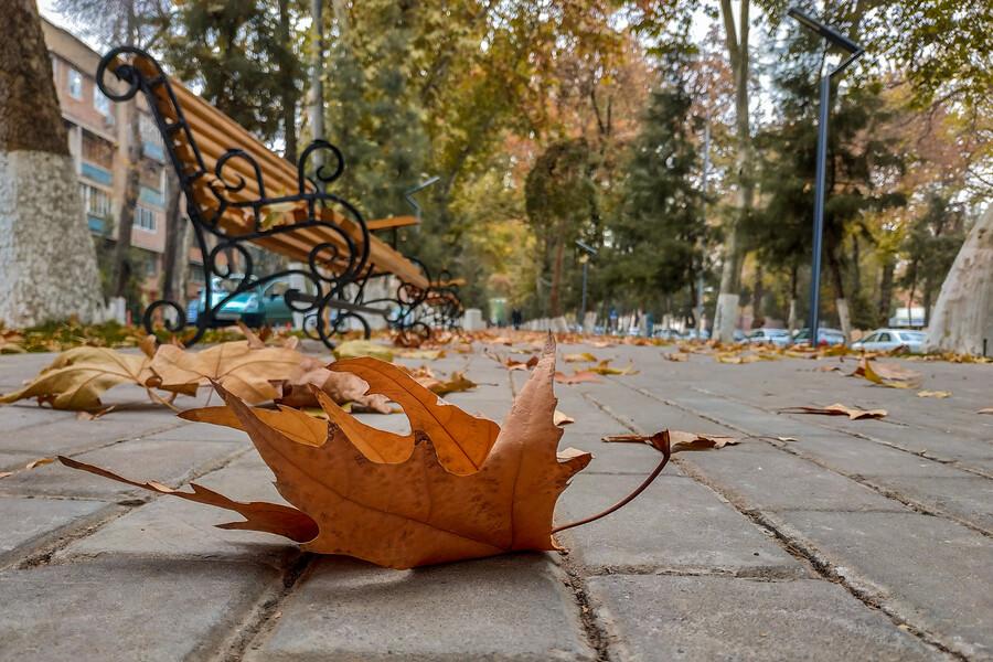 “Ўзгидромет” 24 ноябрь учун об-ҳаво прогнозини эълон қилди