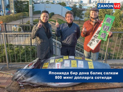 Yaponiyada bir dona baliq salkam 800 ming dollarga sotildi