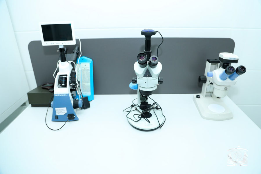 Botanika bog‘ida biotexnologiya laboratoriyasi ochildi