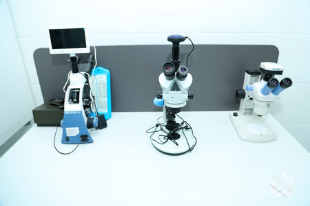 Botanika bog‘ida biotexnologiya laboratoriyasi ochildi