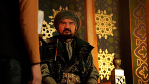 Aktyor yalangoch mushuk suratlarini suratga oldi