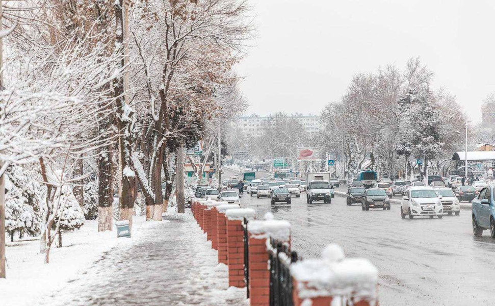 Bugun O‘zbekiston bo‘ylab qor yog‘adi