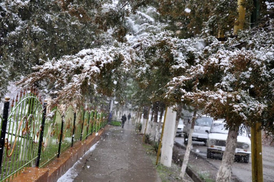 14-mart uchun ob-havo prognozi e'lon qilindi