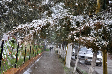 14-mart uchun ob-havo prognozi e'lon qilindi