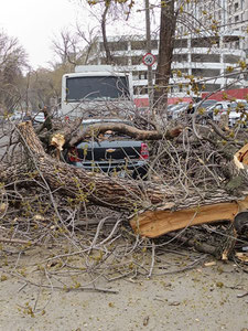 Toshkentda kuchli shamol sabab elektr avariyaviy o‘chdi
