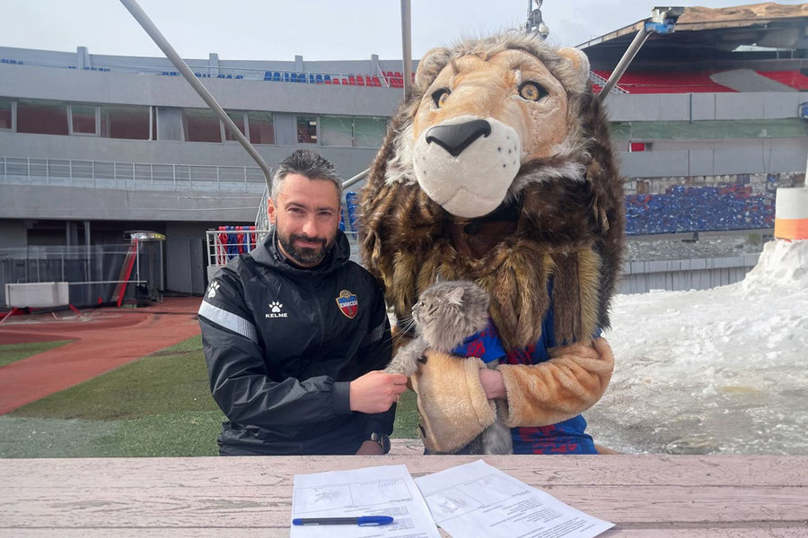 Kitty Jeyn porno tomosha yangi