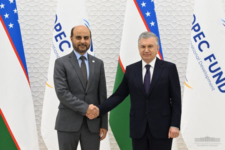 Shavkat Mirziyoyev OPEK Xalqaro jamg‘armasi rahbarini qabul qildi