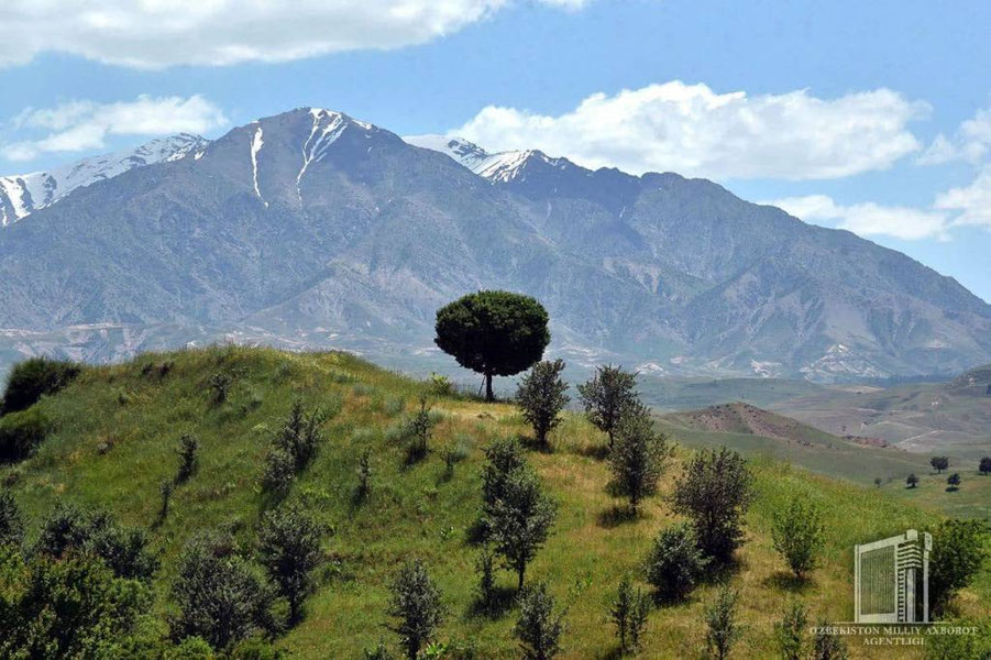 30-may uchun ob-havo prognozi eʼlon qilindi