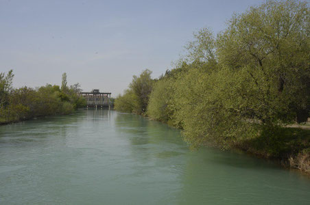 Toshkentda 20 yoshli talaba suvda cho‘kib, vafot etdi