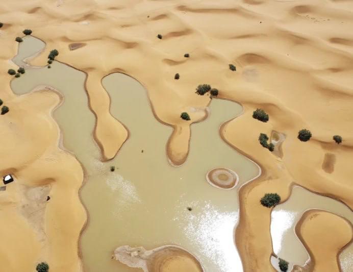 Кучли ёғингарчилик сабаб Саҳрои Кабирни сув босди