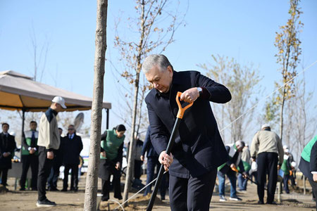 Президент Тошкентдаги янги боғга кўчат экди