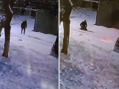 Тошкентда эркак итлар ҳужуми сабаб вафот этдими?