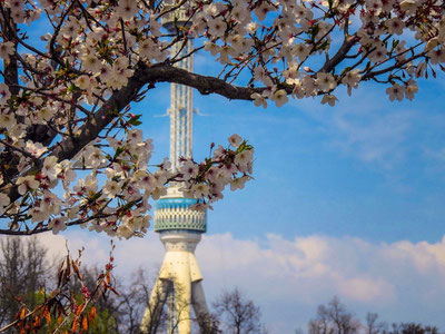 10-mart uchun ob-havo prognozi eʼlon qilindi