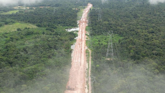 Braziliyada iqlim sammiti uchun o‘rmonlar kesilmoqda