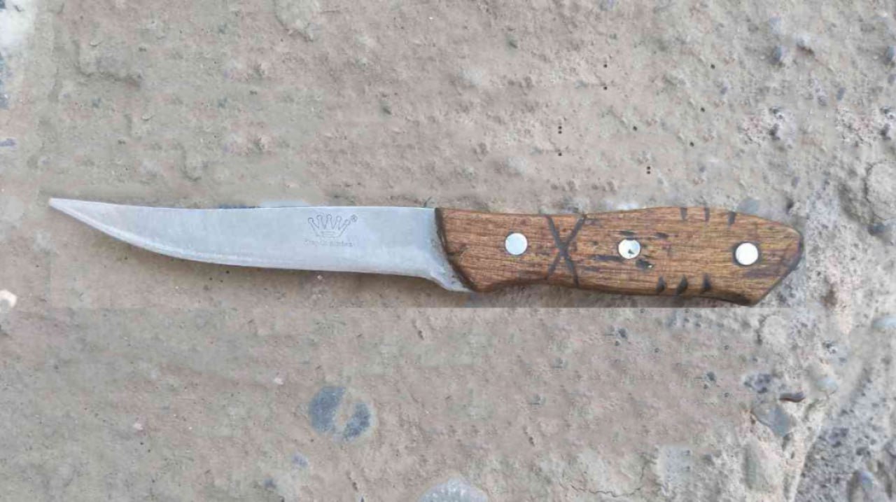 Anjelina Jolining yalangoch iqtiboslari