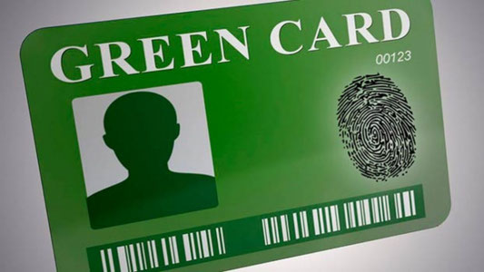 Green Card javoblari ertaga chiqadi