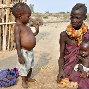 Afrikada katta qorin boylik belgisi hisoblanadi