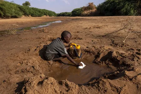 Olimlar Afrika yerlarini qurg'oqchilikdan qutqarish yo'lini topdi