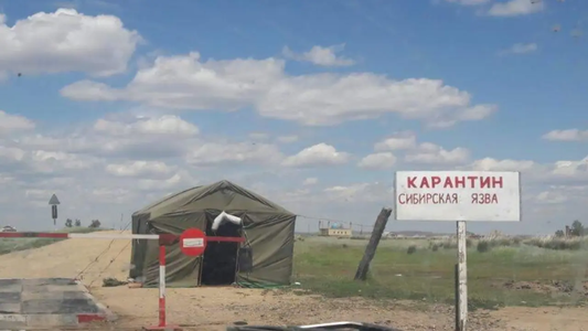 Qozog‘istonda yana kuydirgi tarqaldi, ikki qishloq karantinga olingan