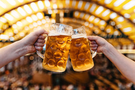 “Daraxt kesishga isyon, pivo festivaliga sukunat!” Deputat pivo festivali o‘tkazishni to‘xtatishga chaqirdi
