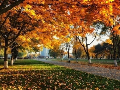Avgustda O‘zbekistonda ob-havo qanday bo‘ladi?