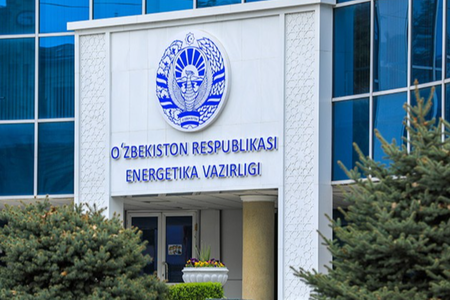 Elektr uzilishlari bo‘yicha vazirlikka senator so‘rovi yuborildi