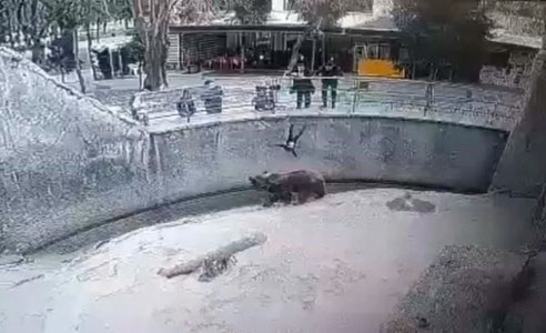 Тошкентда она 7 ёшли қизини пичоқлаб ўлдирди