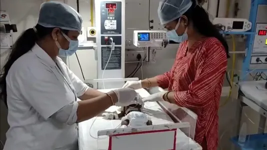 Hindistonda 20 kunlik chaqaloq tiriklayin ko‘mildi