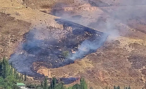 Бўстонлиқ туманида ёнғин содир бўлгани Ўрмон агентлиги томонидан тасдиқланди