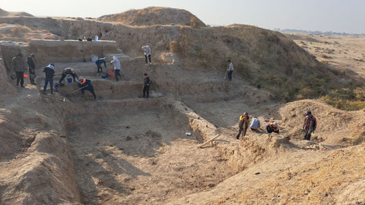 Toshkent viloyatida qadimiy ibodatxona topildi