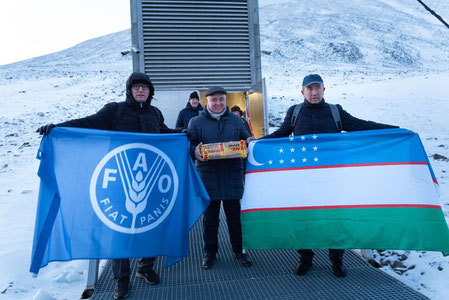 Ўзбекистон "Қиёмат куни омбори"га 20 хил экин уруғини топширди